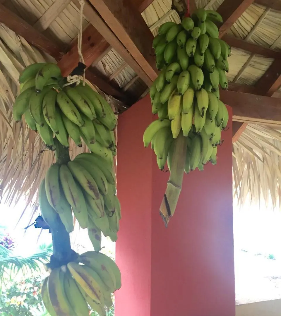 Casa Azul Las Galeras Bed & Breakfast