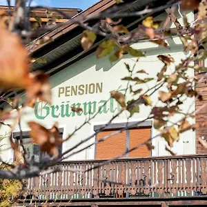 https://pension-grunwald.soldenhotels.net