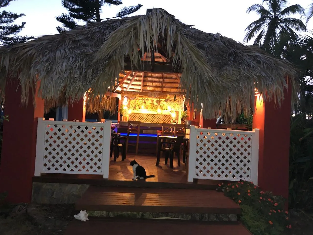 Bed and breakfast Casa Azul Las Galeras República Dominicana